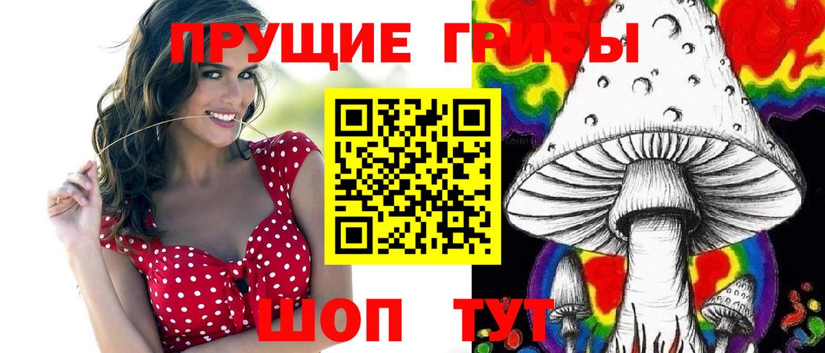 Галлюциногенные грибы мицелий Северск